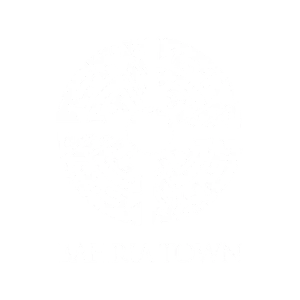 Bharia Town